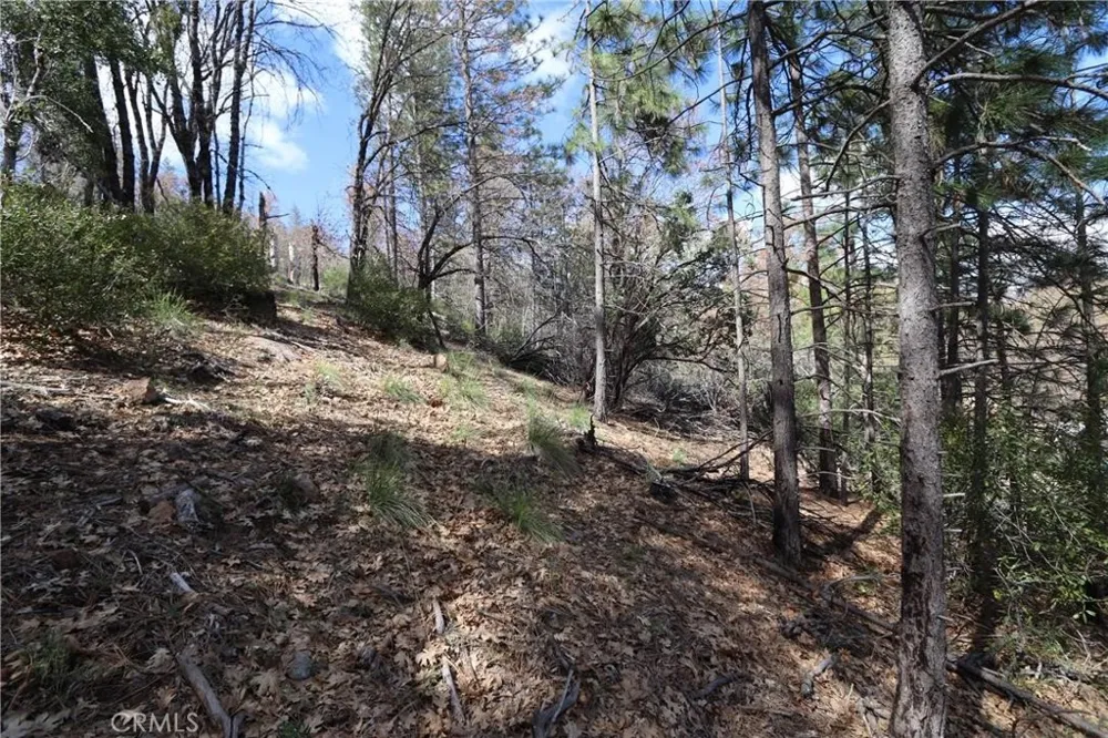 11256 Loch Lomond Road Loch Lomond, CA 95461