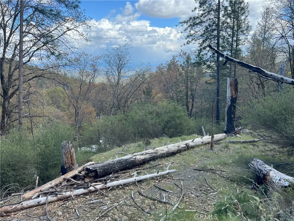 11260 Loch Lomond Road Loch Lomond, CA 95426