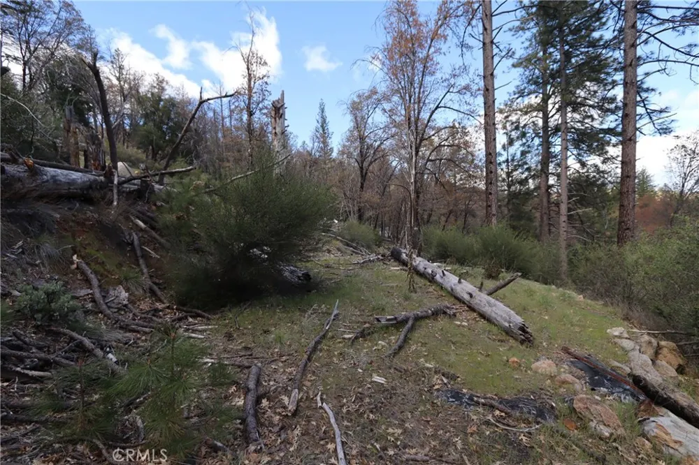 11260 Loch Lomond Road Loch Lomond, CA 95426