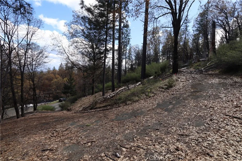 11260 Loch Lomond Road Loch Lomond, CA 95426