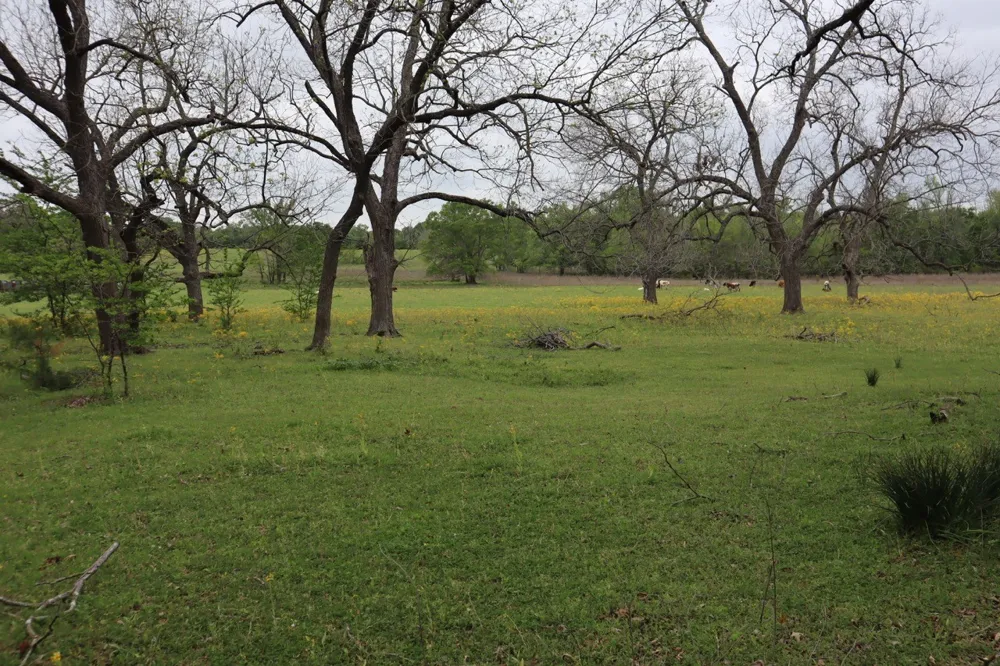 Rs County Road 2365 Alba, TX 75410