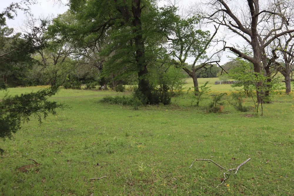 Rs County Road 2365 Alba, TX 75410