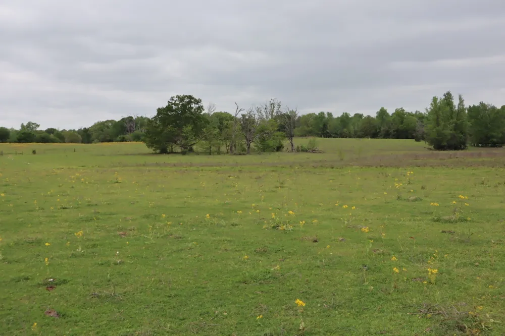 Rs County Road 2365 Alba, TX 75410