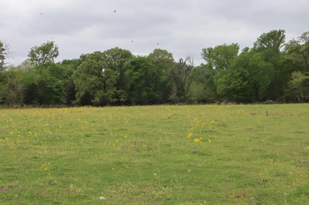 Rs County Road 2365 Alba, TX 75410