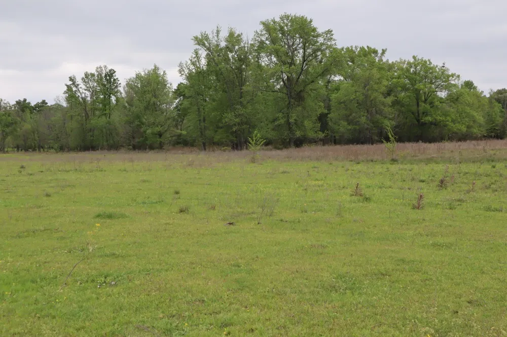 Rs County Road 2365 Alba, TX 75410