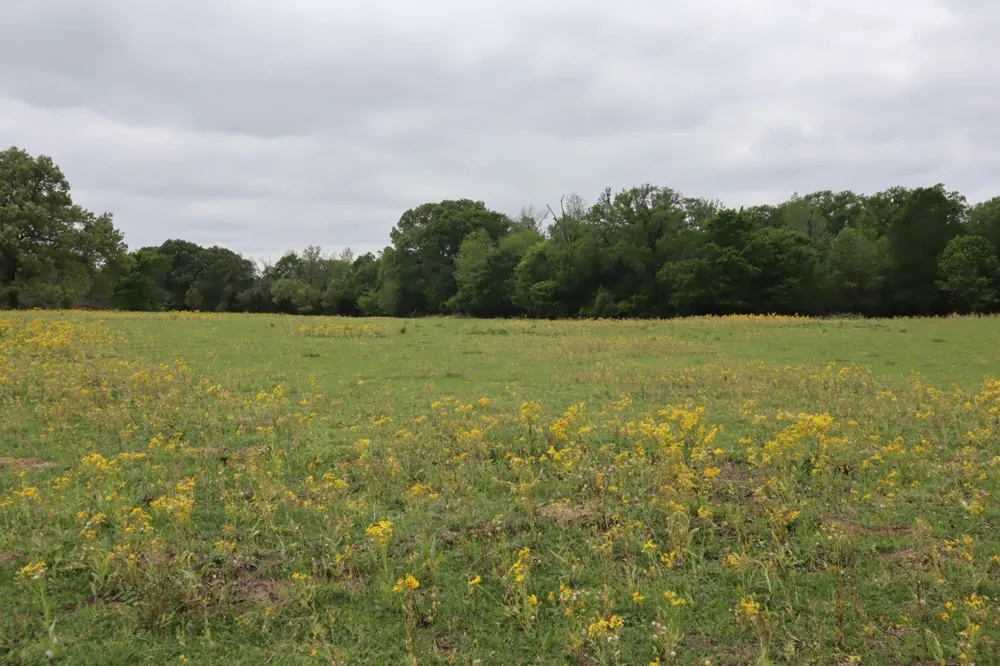Rs County Road 2365 Alba, TX 75410