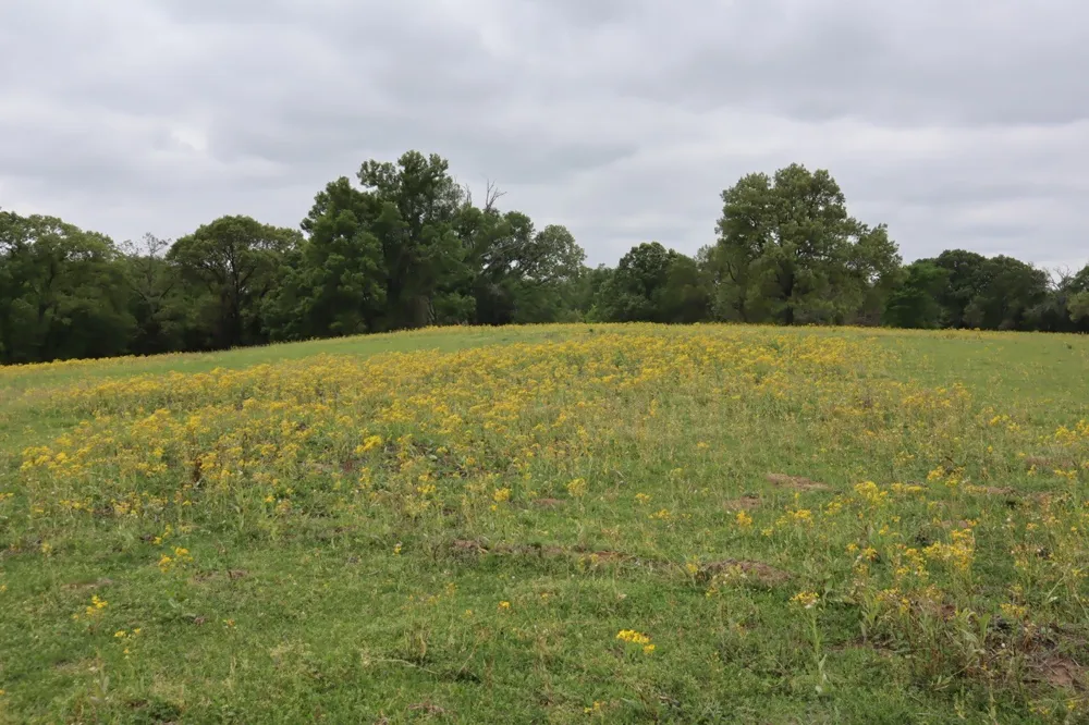 Rs County Road 2365 Alba, TX 75410