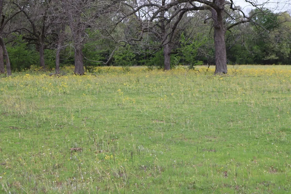 Rs County Road 2365 Alba, TX 75410