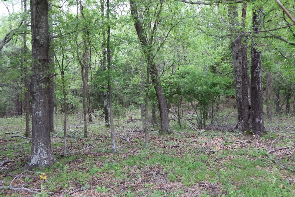 Rs County Road 2365 Alba, TX 75410