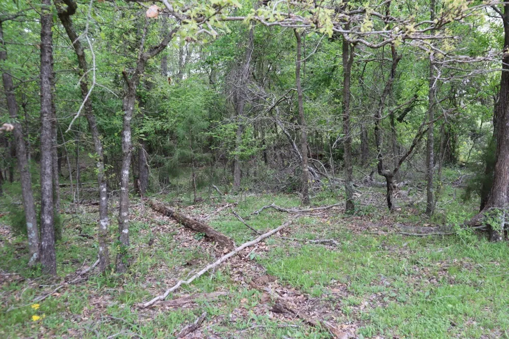 Rs County Road 2365 Alba, TX 75410