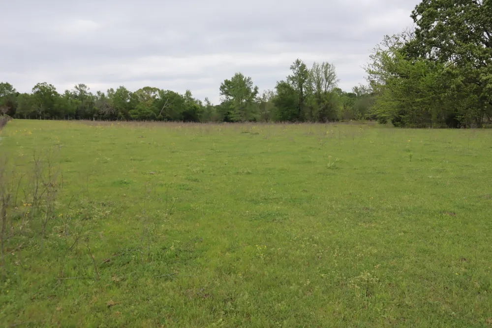 Rs County Road 2365 Alba, TX 75410