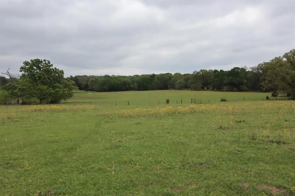Rs County Road 2365 Alba, TX 75410