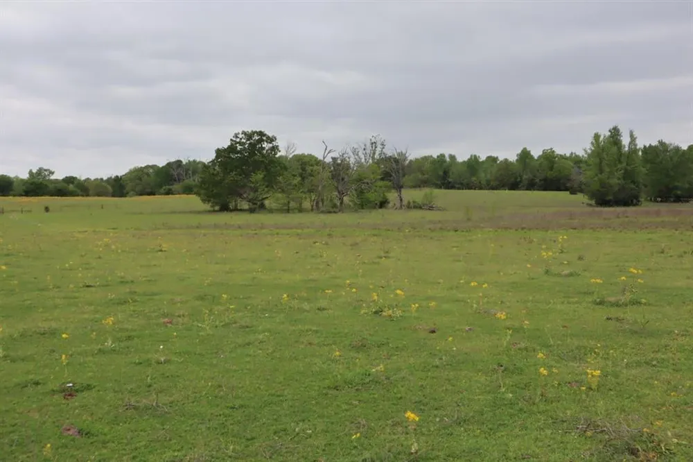 Rs County Road 2365 Alba, TX 75410