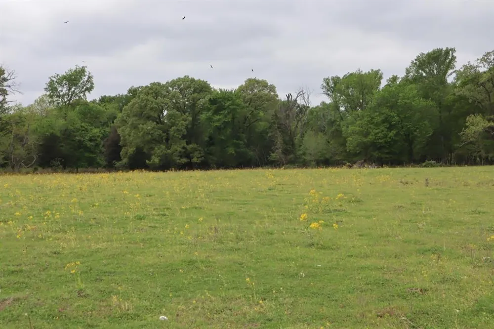 Rs County Road 2365 Alba, TX 75410