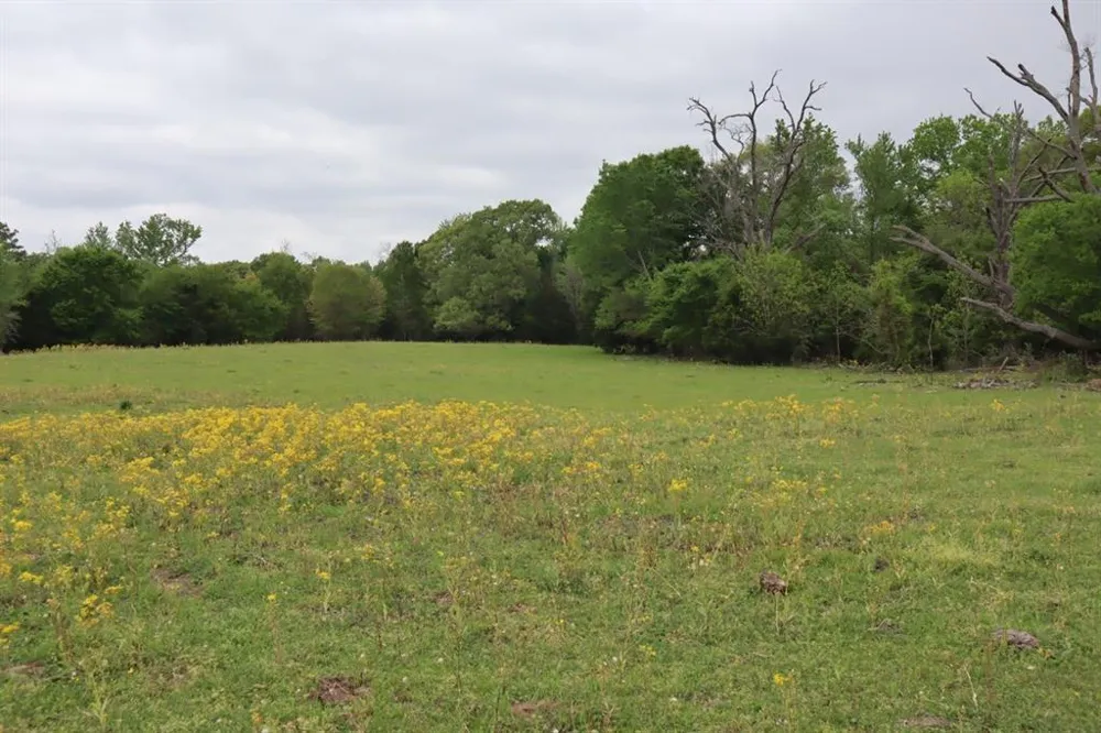Rs County Road 2365 Alba, TX 75410
