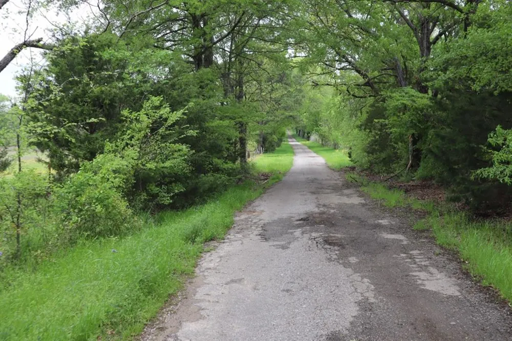Rs County Road 2365 Alba, TX 75410