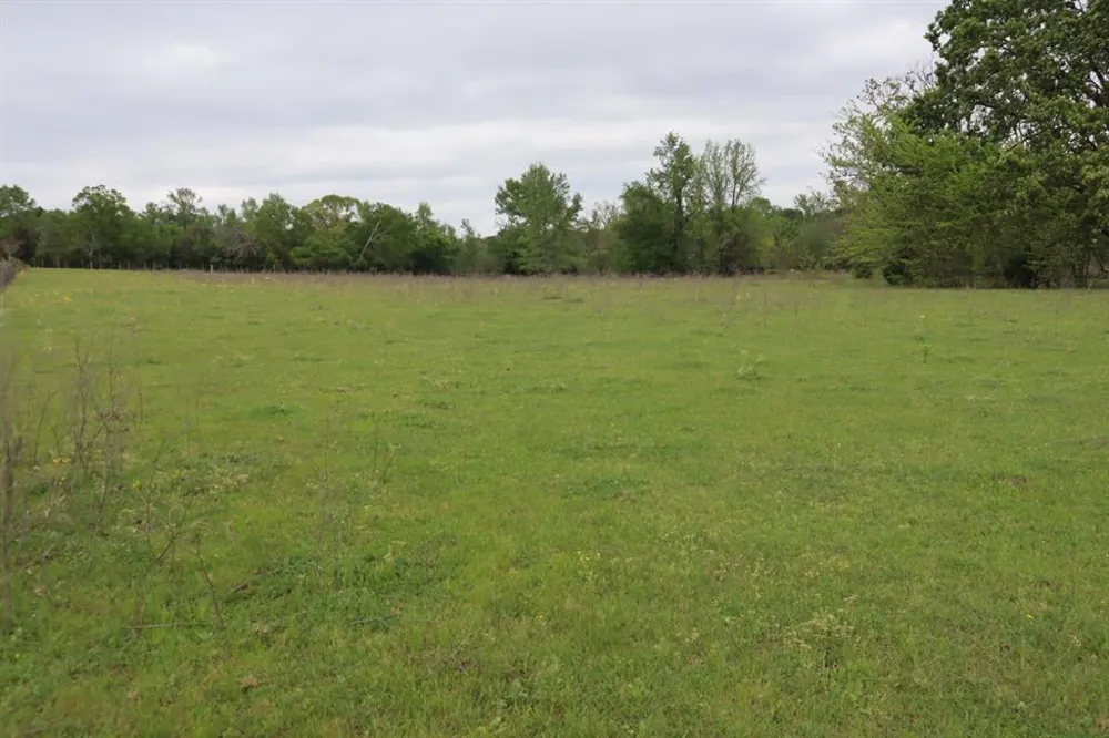 Rs County Road 2365 Alba, TX 75410