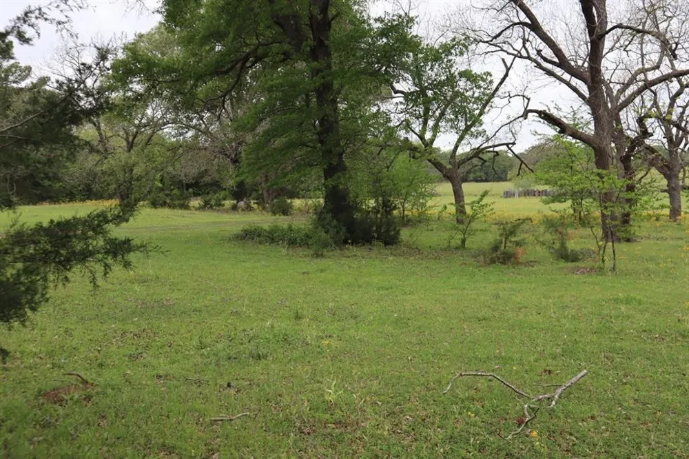 Rs County Road 2365 Alba, TX 75410