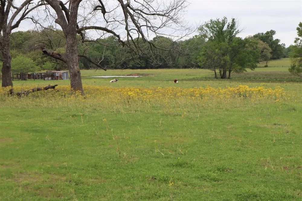 Rs County Road 2365 Alba, TX 75410