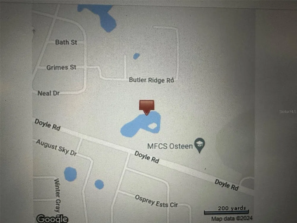 DOYLE ROAD Osteen, FL 32764