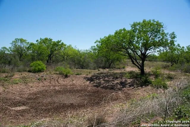 TRACT 9 FM 1332 Jourdanton, TX 78026