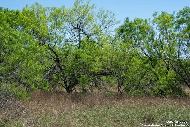 TRACT 9 FM 1332 Jourdanton, TX 78026