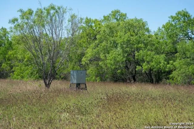 TRACT 9 FM 1332 Jourdanton, TX 78026