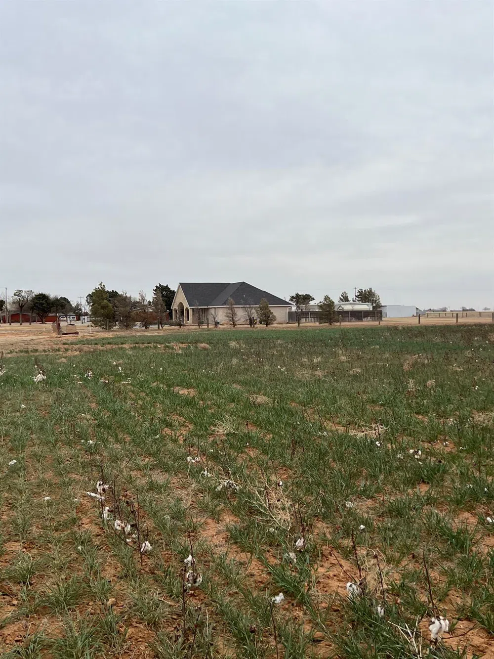 FM 597 Abernathy, TX 79311