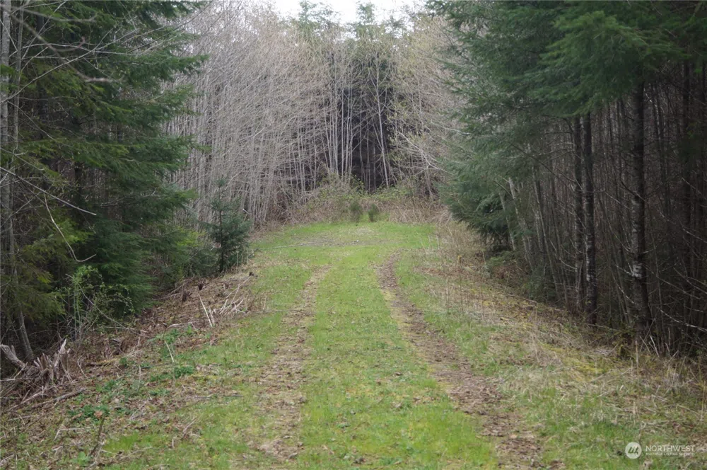 0 Off of State Route 107 Montesano, WA 98563
