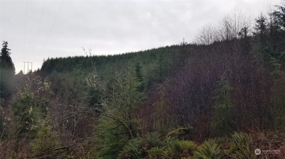 0 Off of State Route 107 Montesano, WA 98563