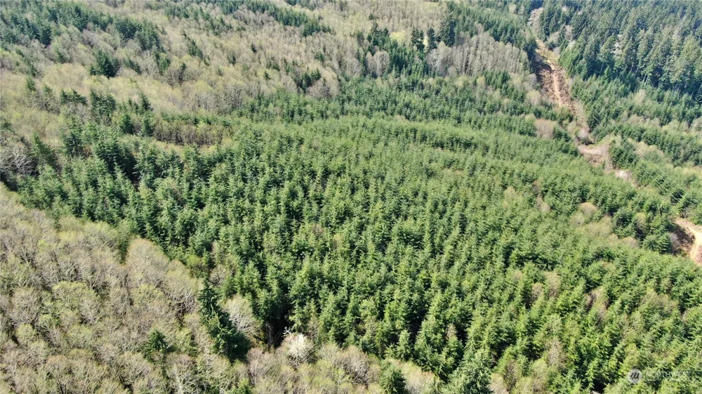 0 Off of State Route 107 Montesano, WA 98563