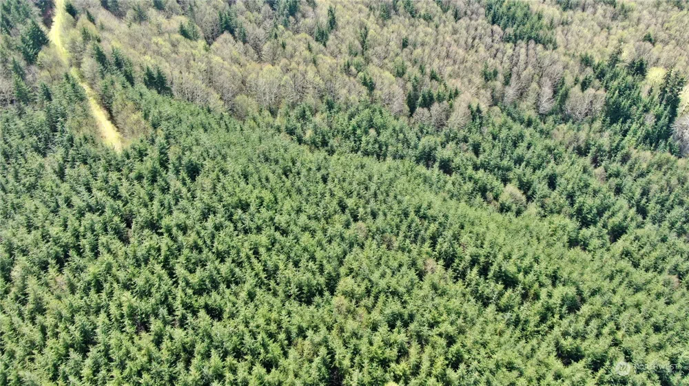 0 Off of State Route 107 Montesano, WA 98563
