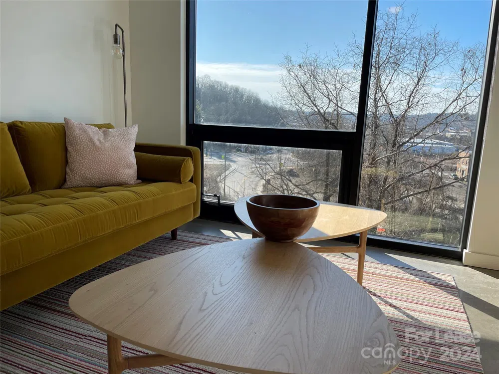 20 Artful Way #412 Asheville, NC 28801