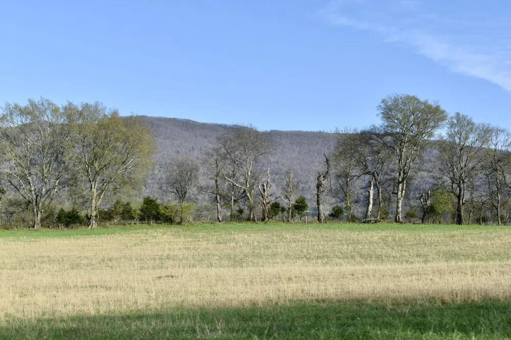 20092 Old State Hwy 28 Pikeville, TN 37367