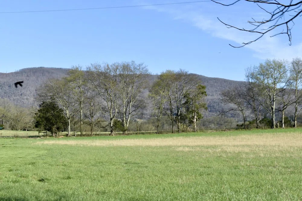 20092 Old State Hwy 28 Pikeville, TN 37367