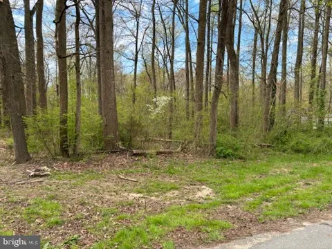 194 GRAYS LANE