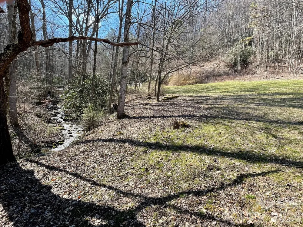 81 Peepeye Cove Road Leicester, NC 28748
