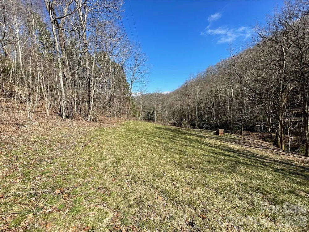 81 Peepeye Cove Road Leicester, NC 28748