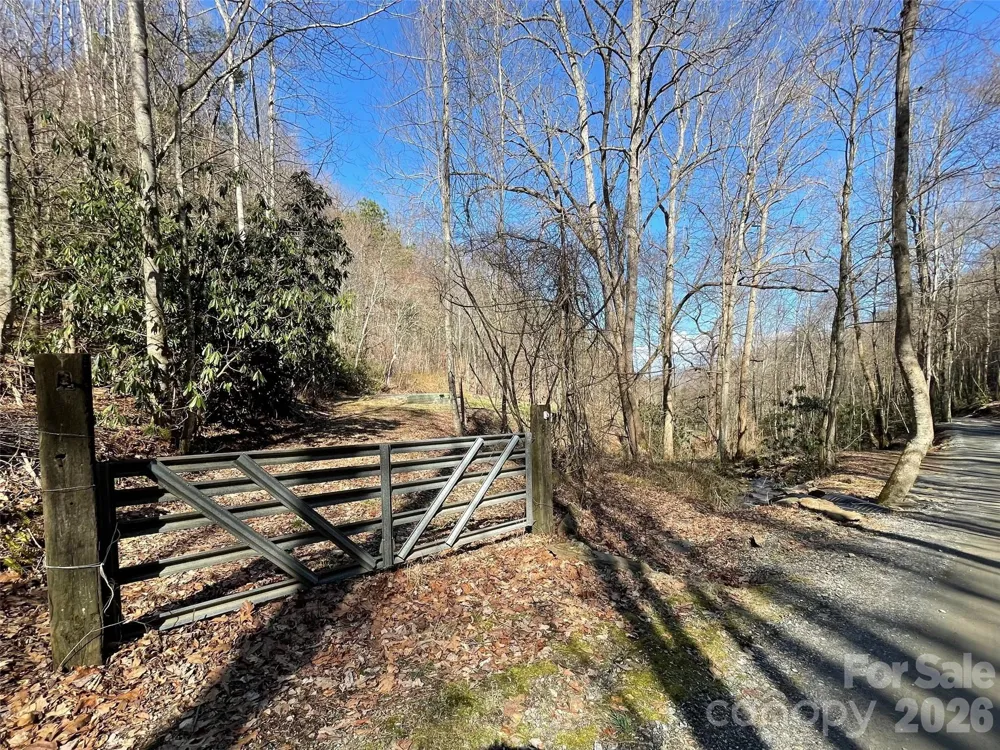 81 Peepeye Cove Road Leicester, NC 28748