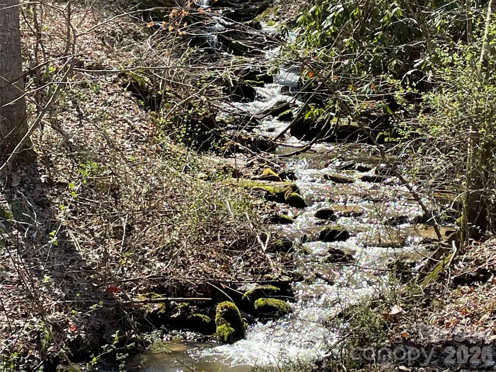 81 Peepeye Cove Road Leicester, NC 28748