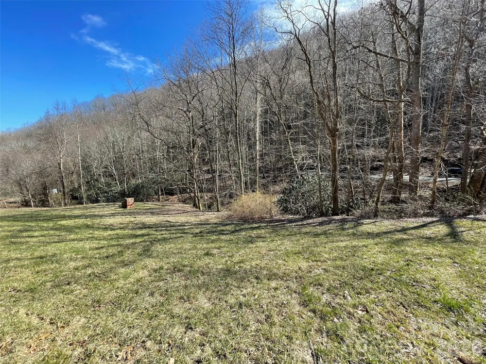 81 Peepeye Cove Road Leicester, NC 28748