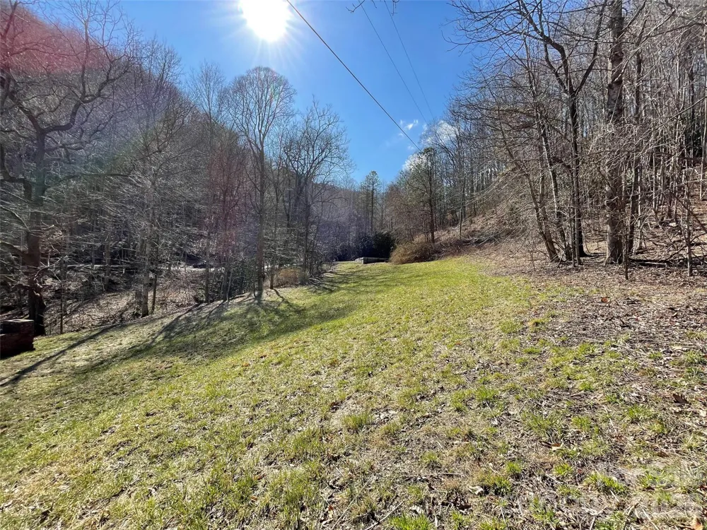 81 Peepeye Cove Road Leicester, NC 28748