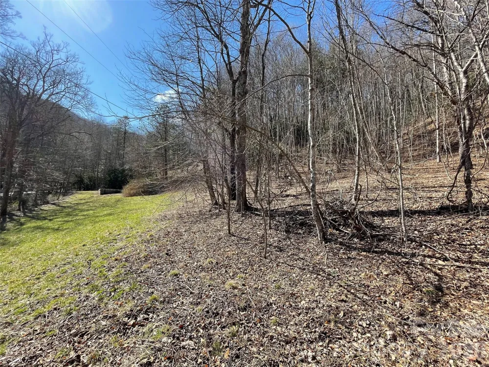 81 Peepeye Cove Road Leicester, NC 28748