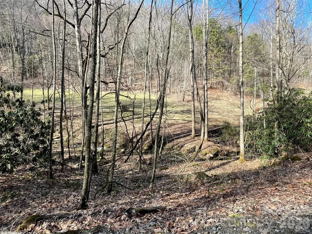 81 Peepeye Cove Road Leicester, NC 28748