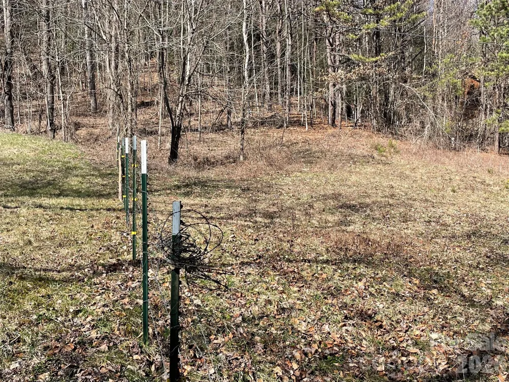 81 Peepeye Cove Road Leicester, NC 28748