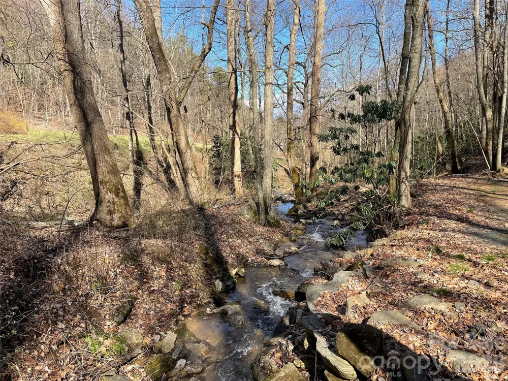 81 Peepeye Cove Road Leicester, NC 28748