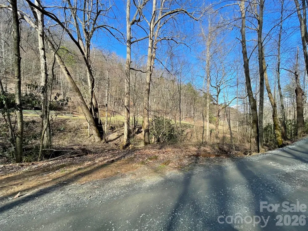 81 Peepeye Cove Road Leicester, NC 28748