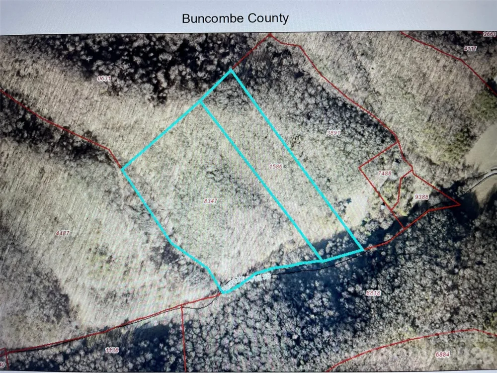 81 Peepeye Cove Road Leicester, NC 28748