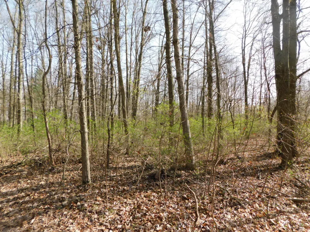 1976 Townline Road Benton Harbor, MI 49022