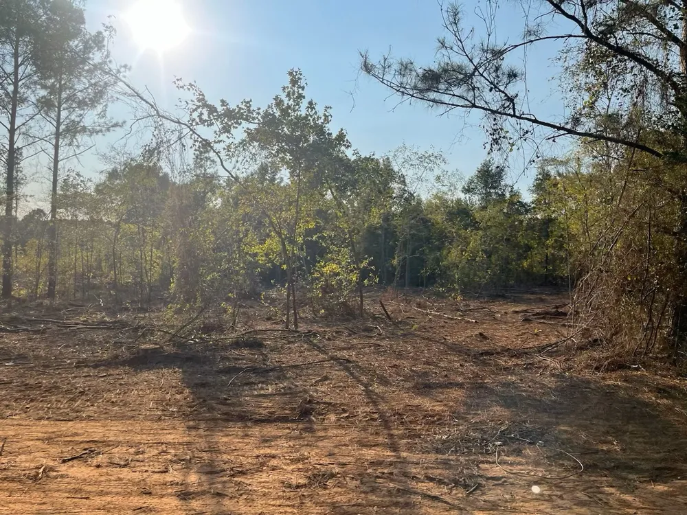 5 Lake Road Plain Dealing, LA 71064